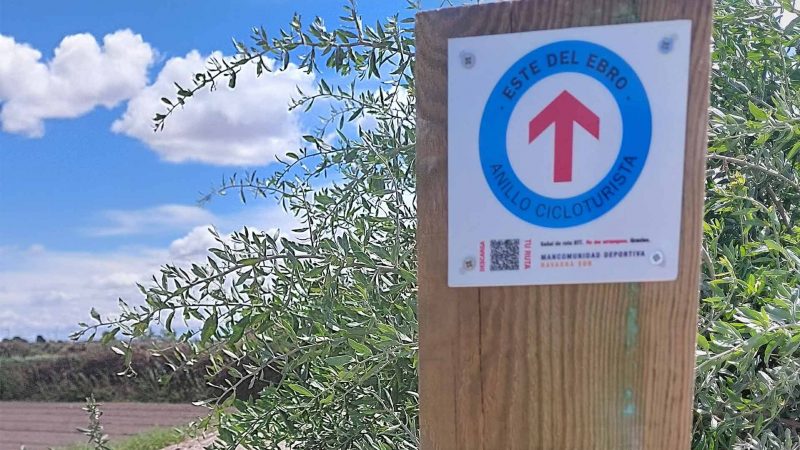 flechaanillo_mancomunidaddenavarra flechaanillo_mancomunidaddenavarra